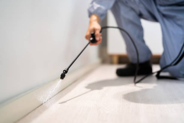 Licensed Ant Control service in Timberville, VA - Nex Pest Control